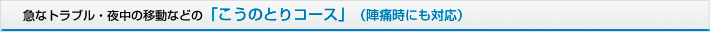 急なトラブル・夜中の移動などの「こうのとりコース」（陣痛時にも対応）
