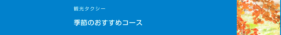 季節のおすすめコース