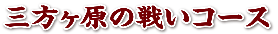 三方ヶ原の戦いコース