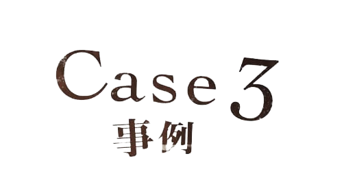 Case3